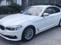 2018 BMW 520D for sale-10