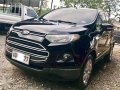 2015 Ford Ecosport for sale-2