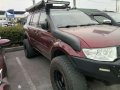 2009 Mitsubishi Montero for sale-5