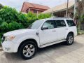 2010 Ford Everest for sale-1