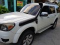 Ford Everest 2010 for sale-2