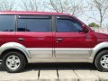 Mitsubishi Adventure 2002 for sale-2