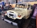 Toyota Land Cruiser 1975 for sale-2