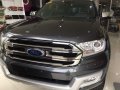 2018 Ford Everest for sale-0