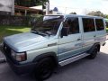 Well kept Toyota Tamaraw fx GL for sale-2