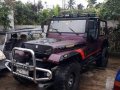 Jeep Wrangler 1994 for sale-4