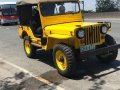2019 Jeep Willys for sale-2