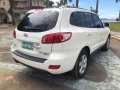 2007 Hyundai Santa Fe for sale -0