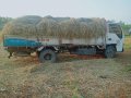 1999 Isuzu Elf for sale -4