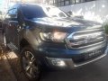 2016 Ford Everest for sale-0