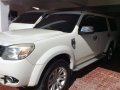 Ford Everest MT 2014 for sale -0