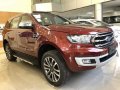 2019 Ford Everest for sale-9