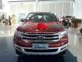 2019 Ford Everest for sale-10