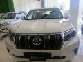 Toyota Land Cruiser Prado 2019 for sale-3