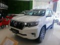 Toyota Land Cruiser Prado 2019 for sale-2