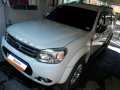 2015 Ford Everest for sale-0