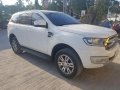 2016 Ford Everest for sale -3