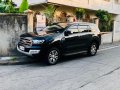 Ford Everest Trend 4x2 2018 for sale -6