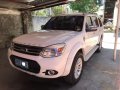2013 Ford Everest for sale -0