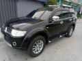 Mitsubishi Montero Sport GTV 2010 for sale -1