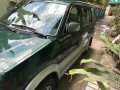 1999 Mitsubishi Adventure for sale-2
