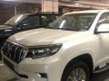Toyota Prado 2019 for sale-4