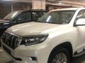 Toyota Prado 2019 for sale-0