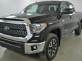 Toyota Tundra 2019 for sale-0