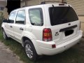 Ford Escape 2006 Automatic Gasoline for sale in Kawit-2