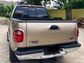 2nd Hand (Used) Ford F-150 2001 for sale in Muntinlupa-6