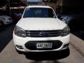 Ford Everest 2014 Manual Diesel for sale in Taguig-0