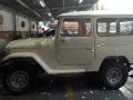 Selling 2nd Hand (Used) Toyota Land Cruiser in Taytay-0