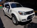 Ford Everest 2014 Manual Diesel for sale in Taguig-1
