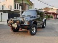 2nd Hand (Used) Nissan Patrol 1995 for sale in Manila-5