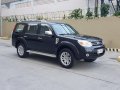 Selling 2nd Hand Ford Everest 2014 Manual Diesel in Las Piñas-3