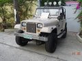 Selling Jeep Wrangler at 50000 in San Jose-6