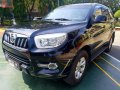 Selling Foton Toplander 2016 Manual Diesel in San Pascual-2