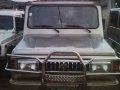 Selling 2nd Hand Toyota Owner Type Jeep 1995 at 60000 km in Manila-2
