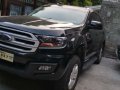 2017 Ford Everest for sale in Marikina-0