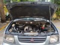 1999 Mitsubishi Adventure for sale in Makati-5