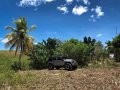 2017 Jeep Wrangler for sale in Mandaue-0