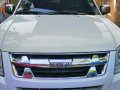 2nd Hand Isuzu D-Max 2011 Manual Diesel for sale in Mandaue-2