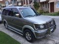 1999 Mitsubishi Adventure for sale in Consolacion-9