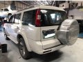 2nd Hand Ford Everest 2011 Automatic Diesel for sale in Mandaue-2