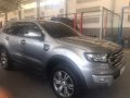 Sell Used 2017 Ford Everest at 30000 km in Muntinlupa-9