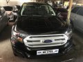 Selling Ford Everest 2017 Automatic Diesel in Lapu-Lapu-8