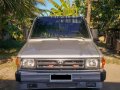 Selling Toyota Tamaraw 2002 Manual Gasoline in Cebu City-4