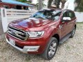 Sell 2nd Hand 2016 Ford Everest in Concepcion-9