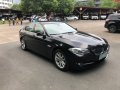 2012 Bmw 520D for sale in Pasig-3