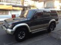 2002 Mitsubishi Pajero for sale in Pasig-2